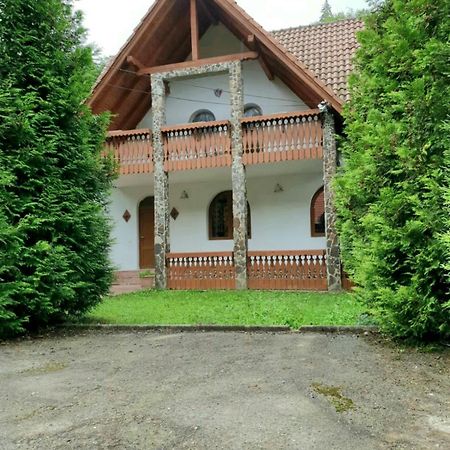 Vila Luca'S Cîrţişoara Bagian luar foto