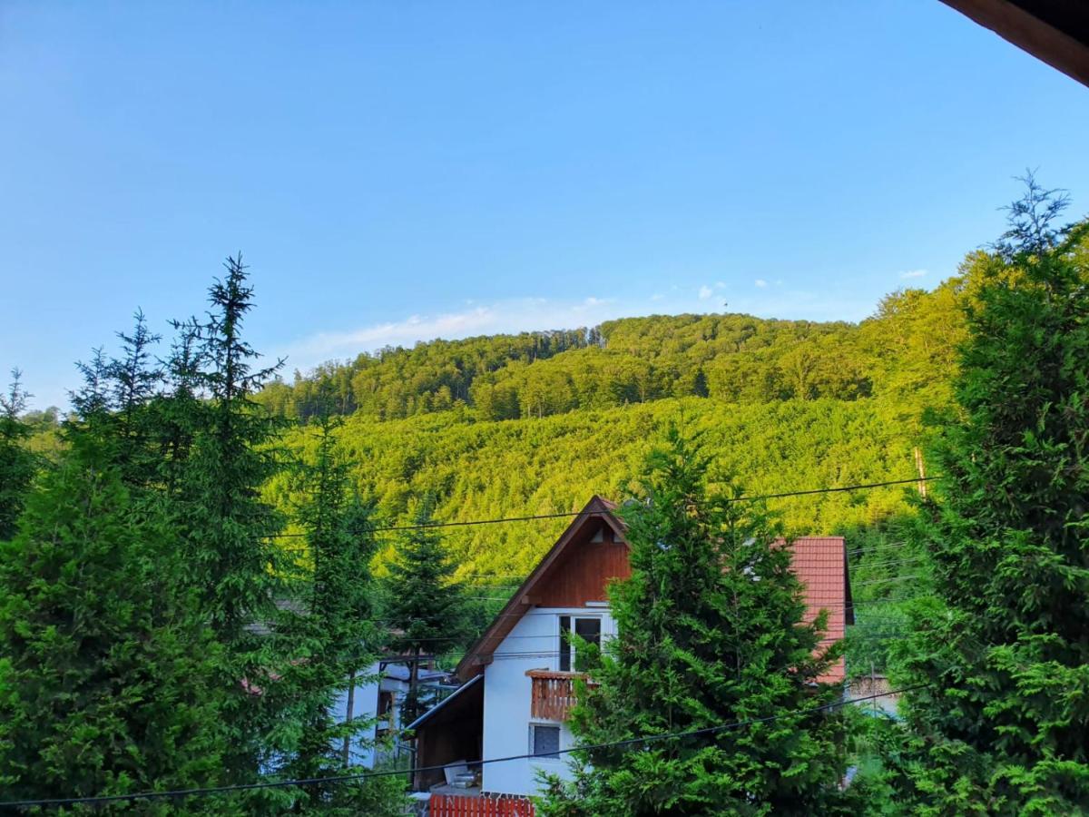 Vila Luca'S Cîrţişoara Bagian luar foto