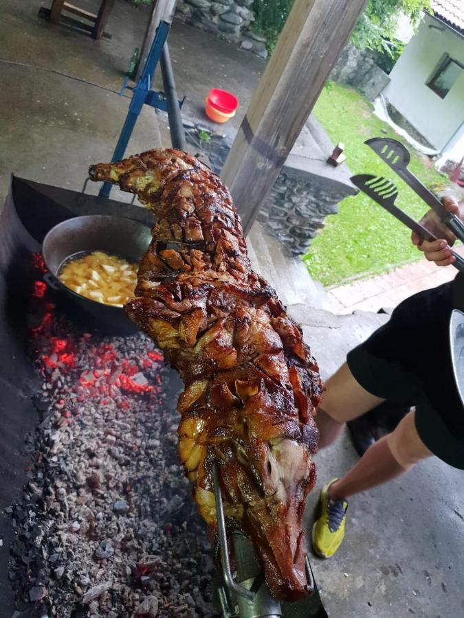 Vila Luca'S Cîrţişoara Bagian luar foto