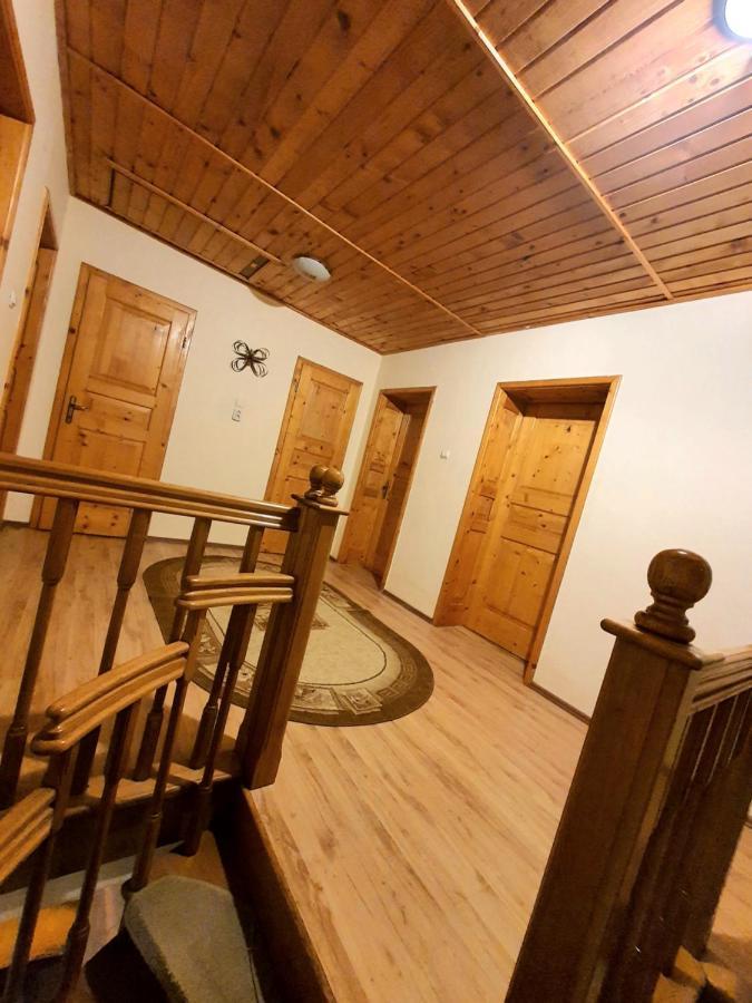 Vila Luca'S Cîrţişoara Bagian luar foto