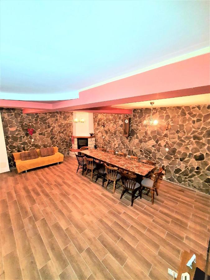 Vila Luca'S Cîrţişoara Bagian luar foto