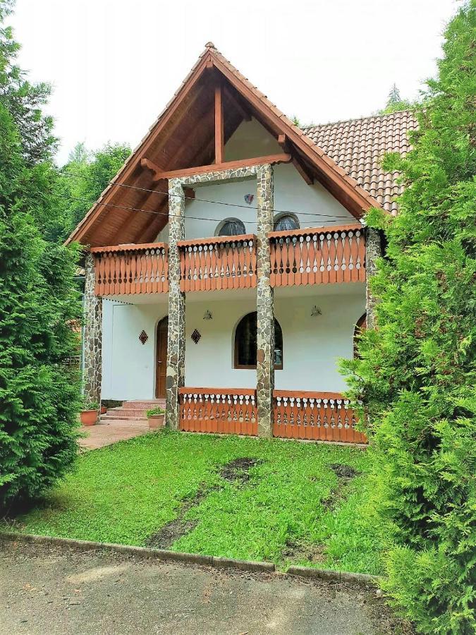 Vila Luca'S Cîrţişoara Bagian luar foto