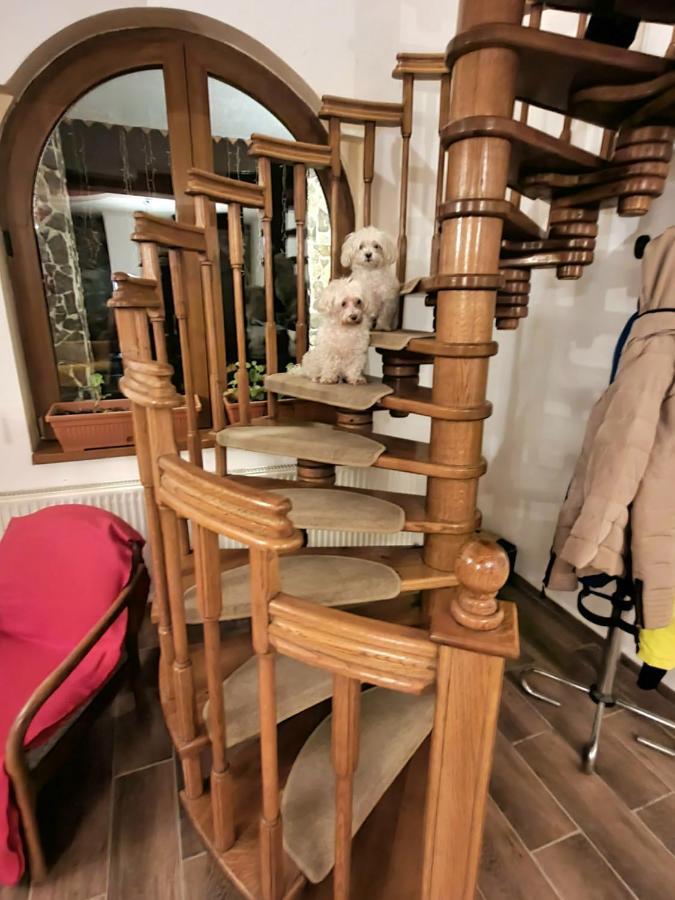 Vila Luca'S Cîrţişoara Bagian luar foto